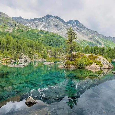 Apartman Window On The *