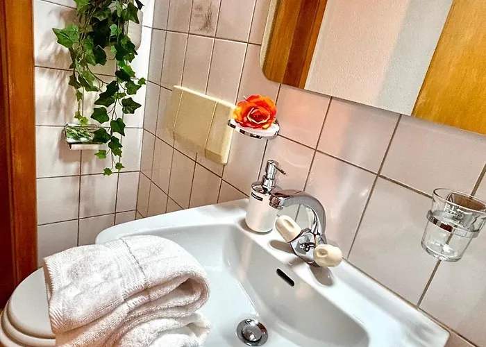 Window On The شقة *