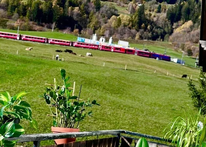 Window On The 公寓 *