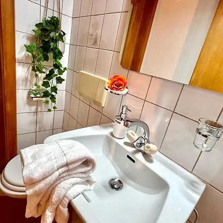 Window On The Apartament *